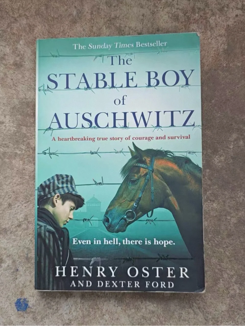 The Stable Boy of Auschwitz - Henry Oster (Green Cover)